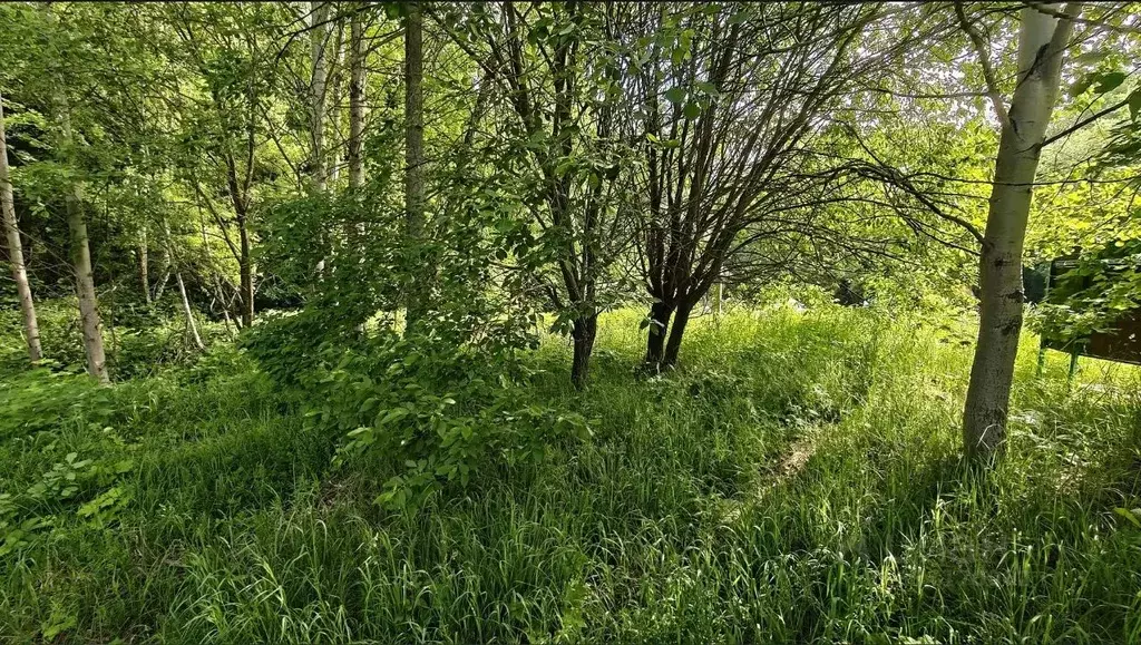 Участок в Московская область, Ленинский городской округ, д. ... - Фото 2