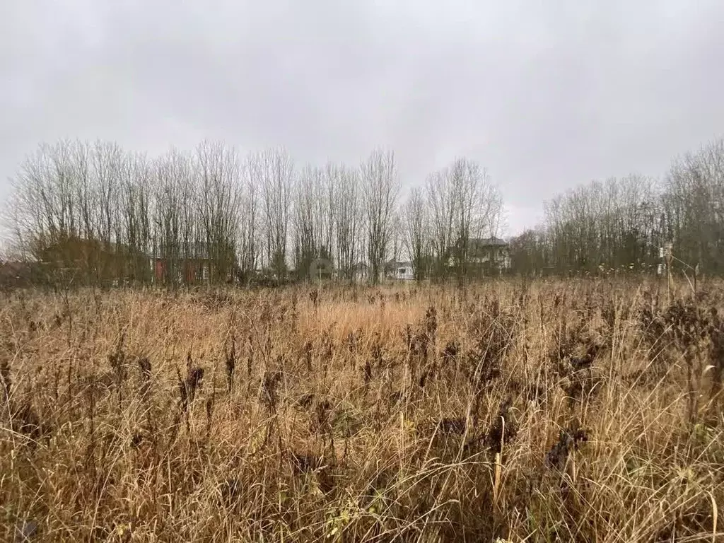 Участок в Ленинградская область, Ломоносовский район, Оржицкое с/пос, ... - Фото 1