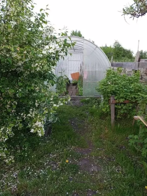 Дом в Томская область, Томский район, д. Воронино  (29 м) - Фото 2