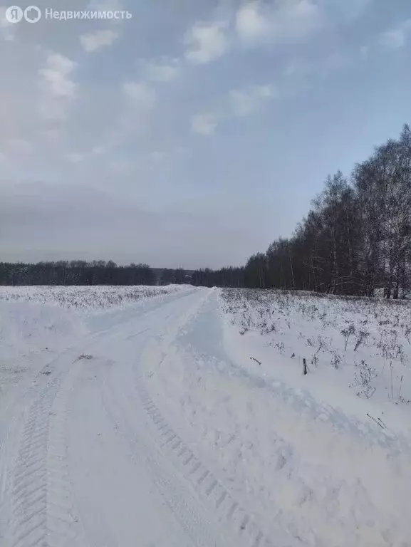 Участок в Московская область, Раменский муниципальный округ, КП ... - Фото 2