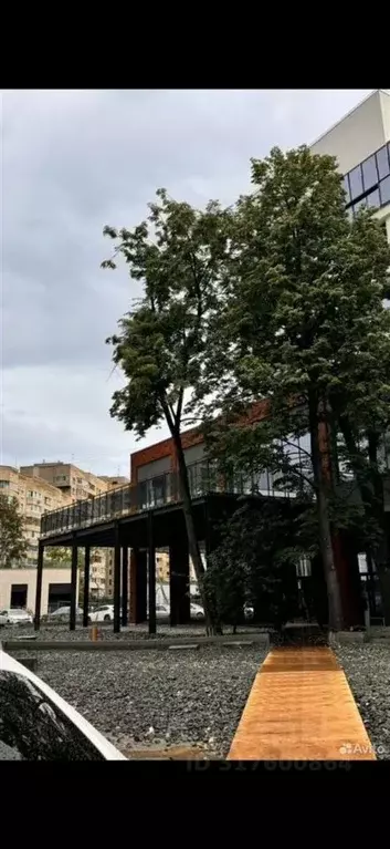 Торговая площадь в Свердловская область, Екатеринбург ул. Боевых ... - Фото 0