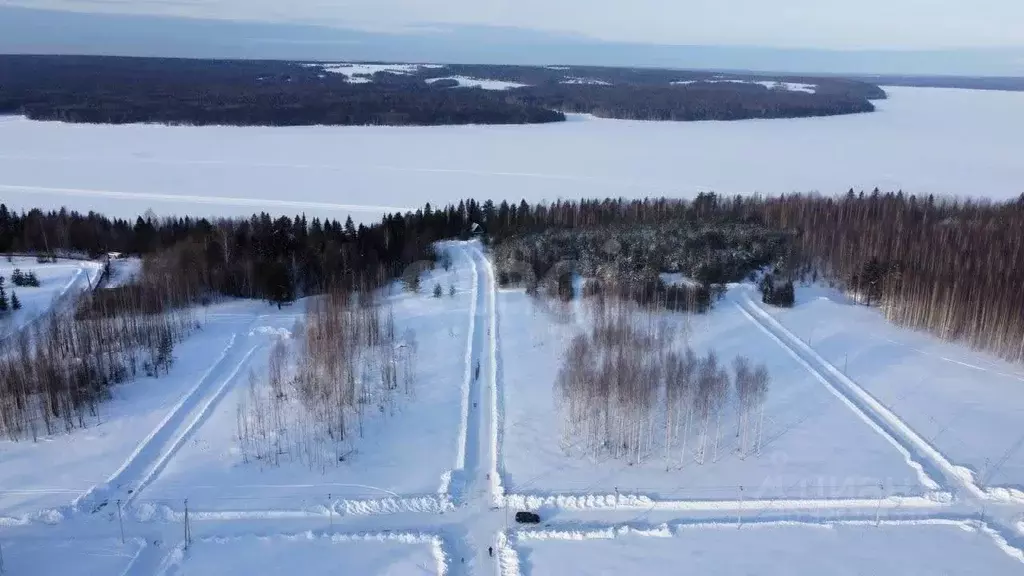 Участок в Пермский край, Добрянский муниципальный округ, д. Залесная ... - Фото 2