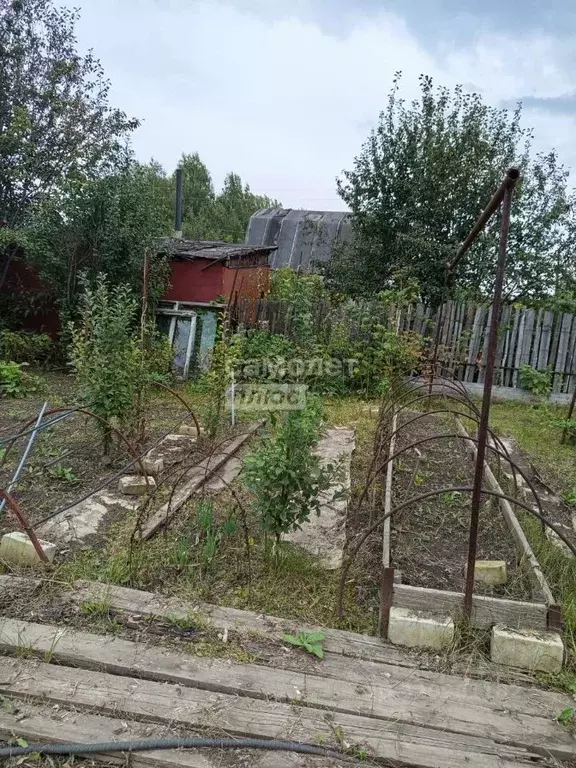 Дом в Алтайский край, Первомайский район, Домостроитель СНТ ул. 8-я ... - Фото 2