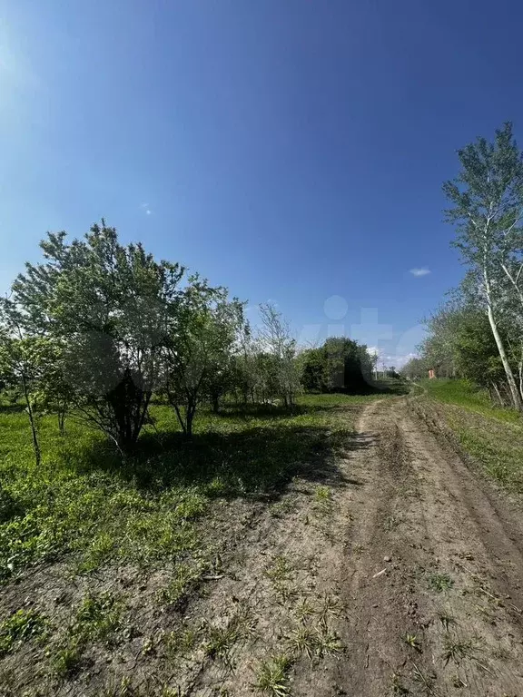 Участок 8,5 сот. (ИЖС) - Фото 1