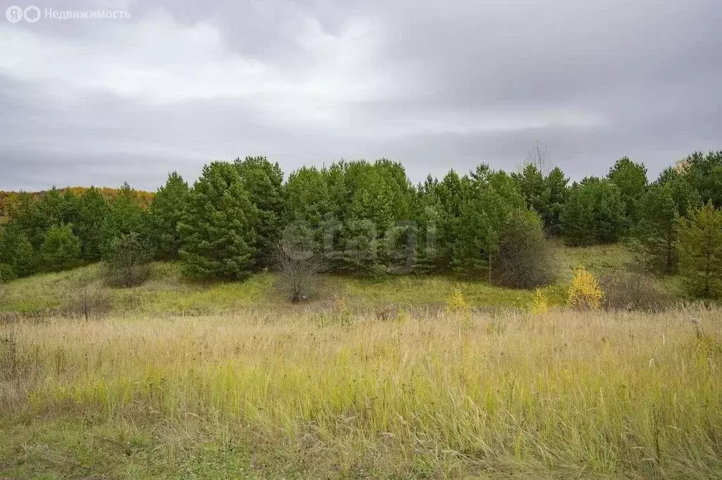 Участок в Нижегородская область, Дальнеконстантиновский муниципальный ... - Фото 2
