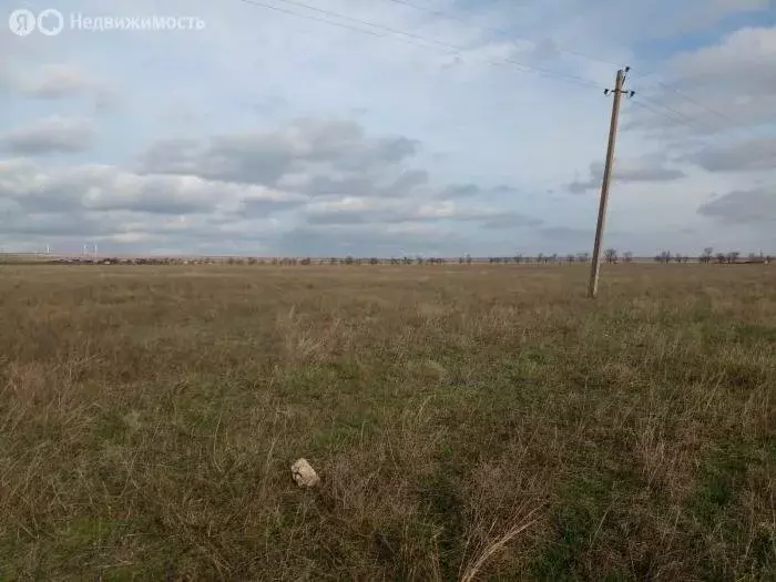 Участок в Окунёвка, Пограничная улица, 15 (15 м) - Фото 2