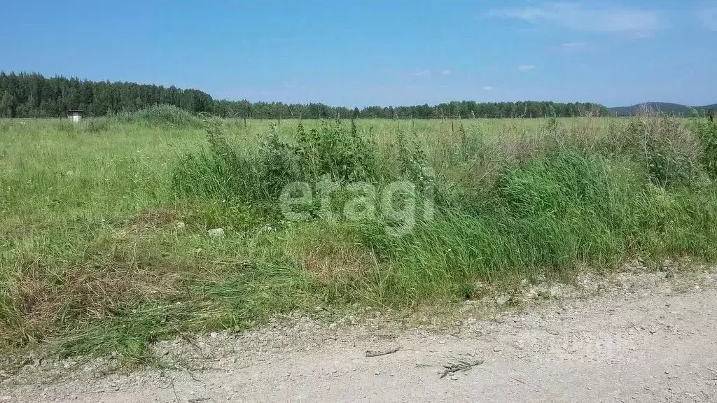 Участок в Костромская область, Костромской район, Самсоновское с/пос, ... - Фото 1