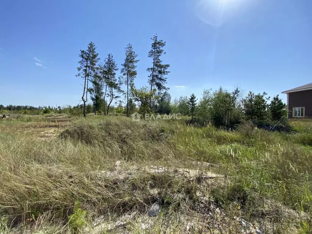 Участок в Воронежская область, Рамонский район, Новоживотинновское ... - Фото 1