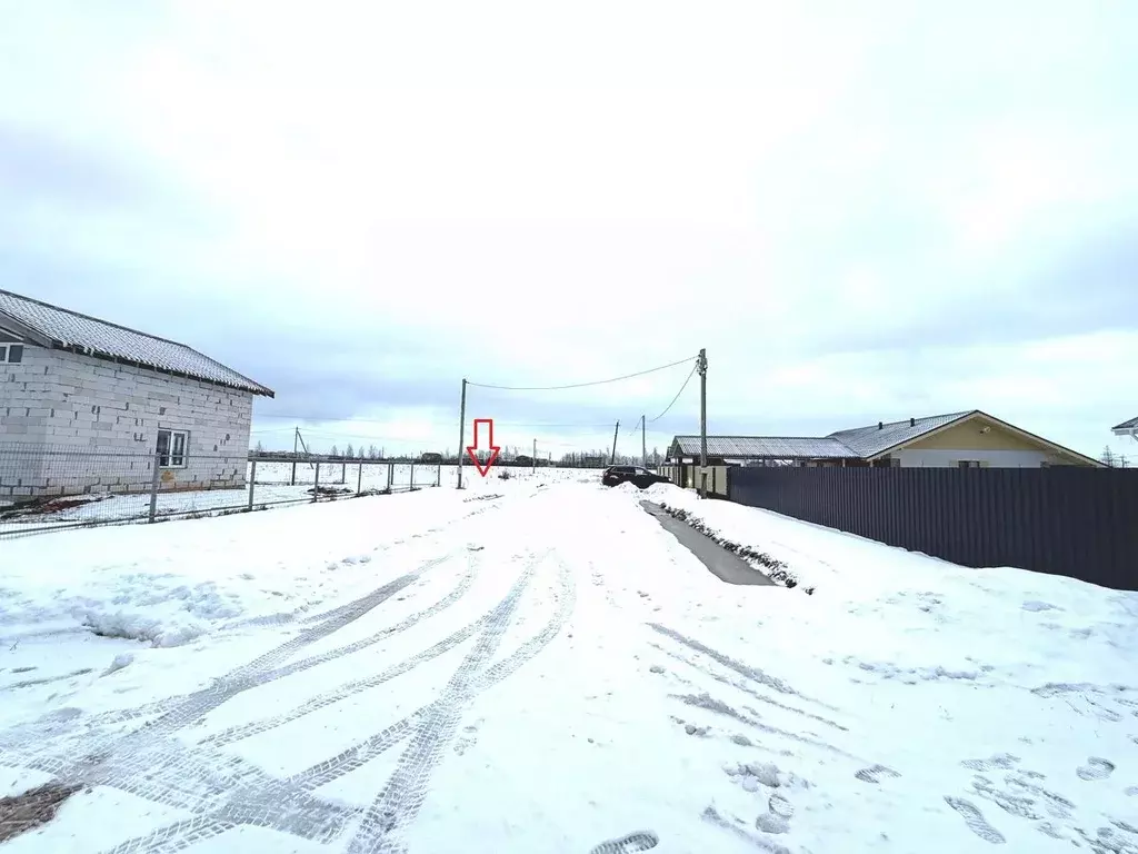 Участок в Новгородская область, Новгородский район, Ермолинское с/пос, ... - Фото 2