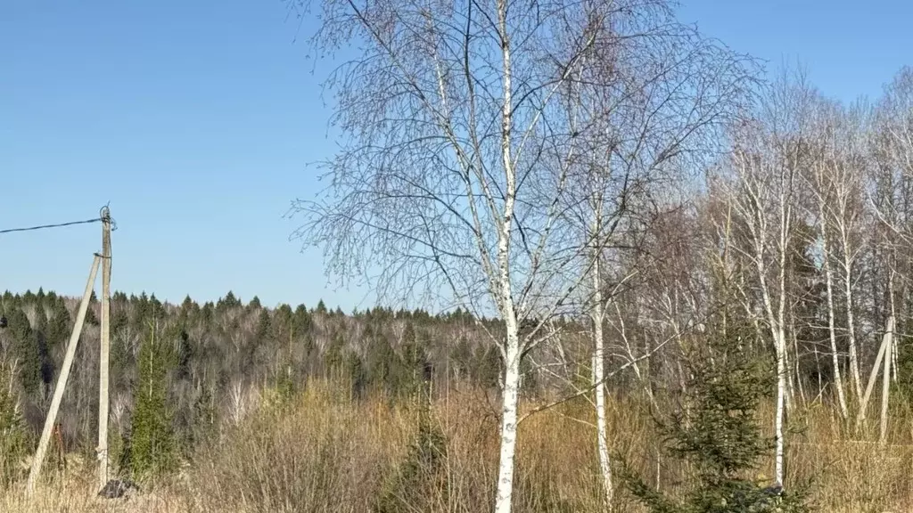 Участок в Калужская область, Жуковский муниципальный округ, Чубарово ... - Фото 2