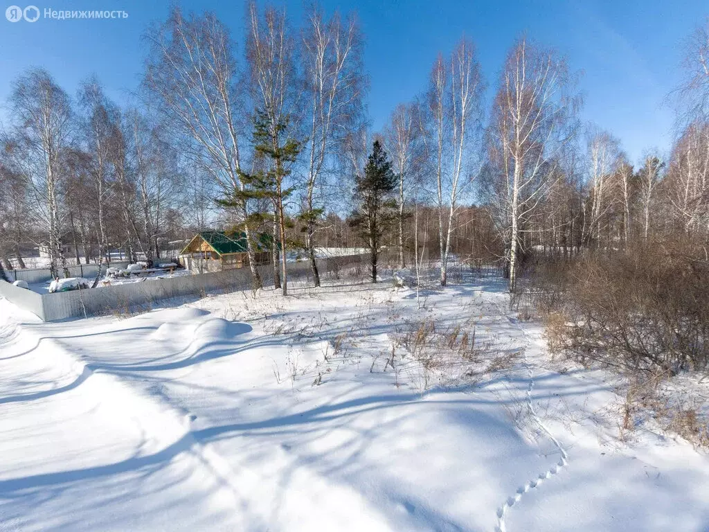 Участок в Тюмень, садовое товарищество Ясень (11 м) - Фото 2