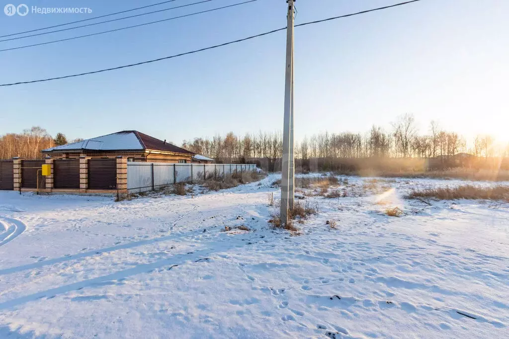 Участок в деревня Падерина, Андреевская улица (8.22 м) - Фото 2