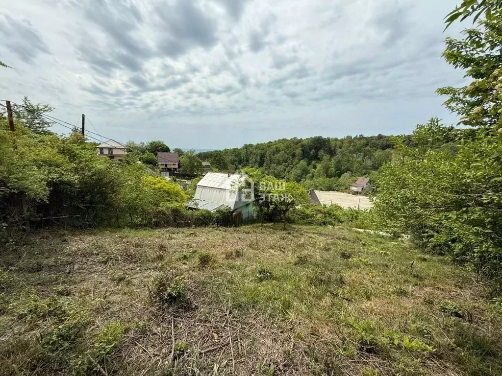 Участок в Краснодарский край, Сочи Черноморец садовое товарищество, 38 ... - Фото 1