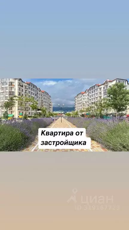 1-к кв. Краснодарский край, Геленджик Крымская ул., 22к10 (49.3 м) - Фото 0