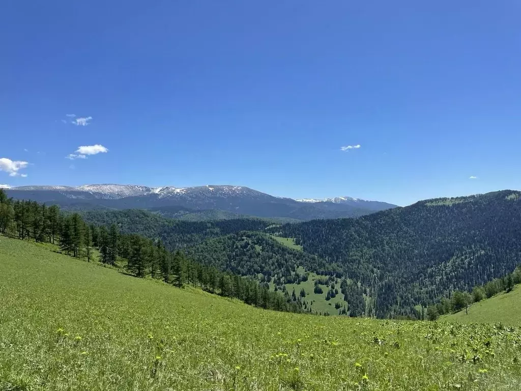 Участок в Алтай, Чемальский район, Элекмонарское с/пос  (45.29 сот.) - Фото 0