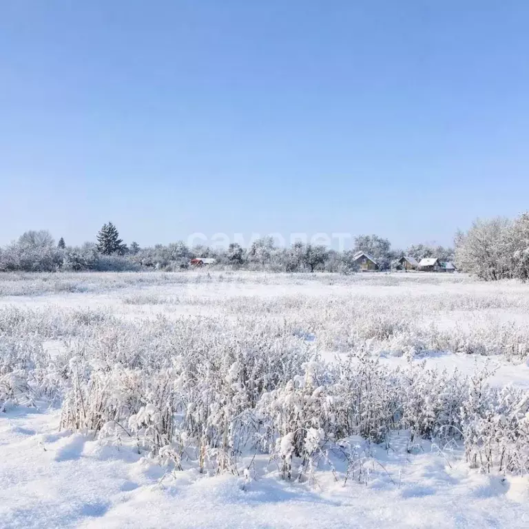 Участок в Курская область, Курский район, Камышинский сельсовет, д. ... - Фото 1