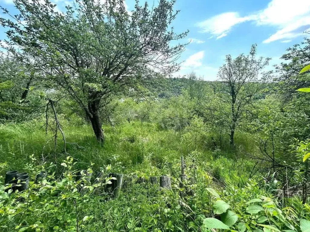 Участок в Белгородская область, Белгородский район, Ериковское с/пос, ... - Фото 0