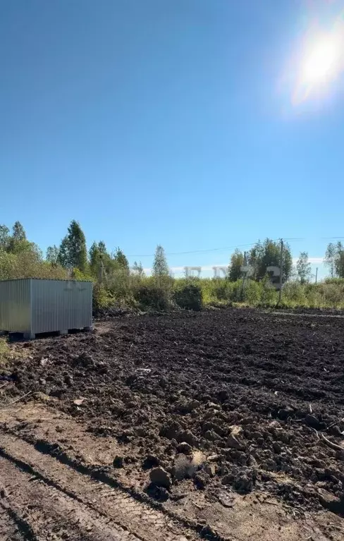 Участок в Тюменская область, Тюменский муниципальный округ, Нефтехимик ... - Фото 2