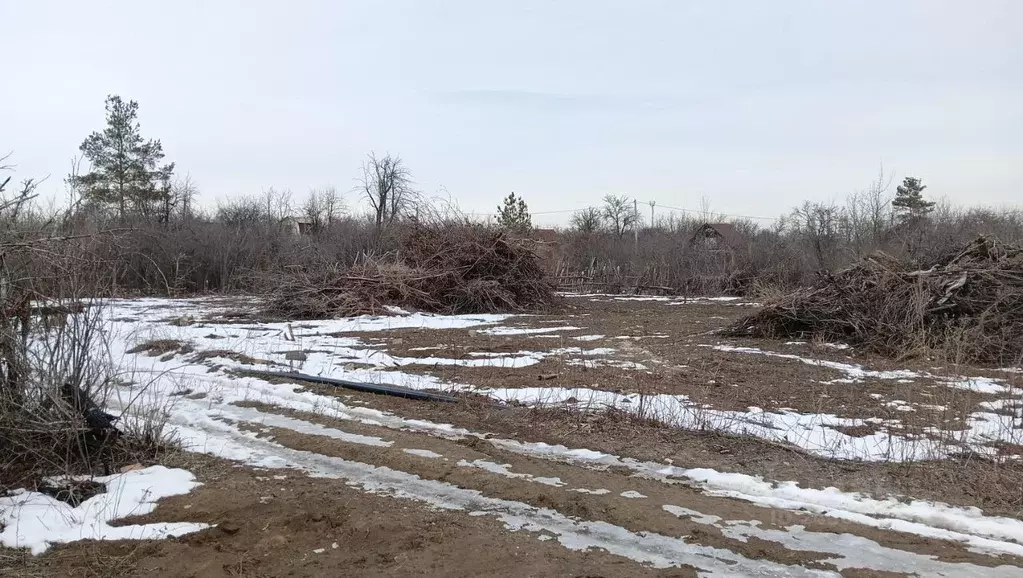 Участок в Саратовская область, Саратов проезд 4-й Беловежский (6.0 ... - Фото 0