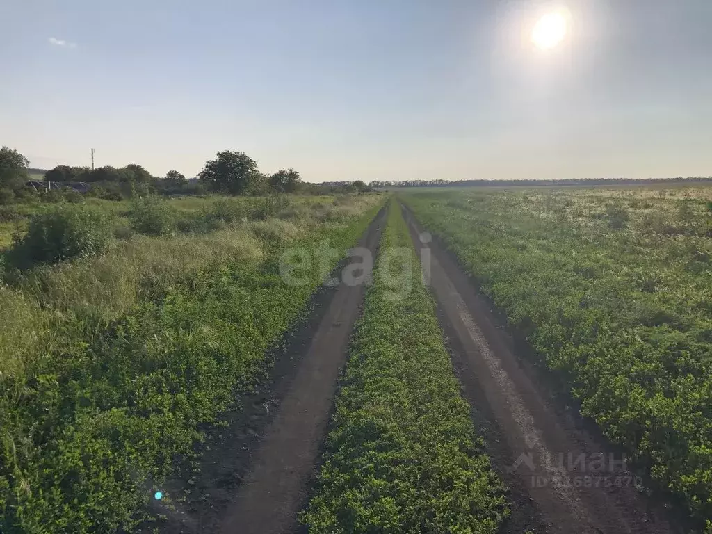 Участок в Ставропольский край, Предгорный муниципальный округ, с. ... - Фото 1