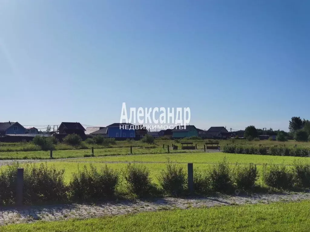 Участок в Ленинградская область, Тосненский район, Никольское ... - Фото 2