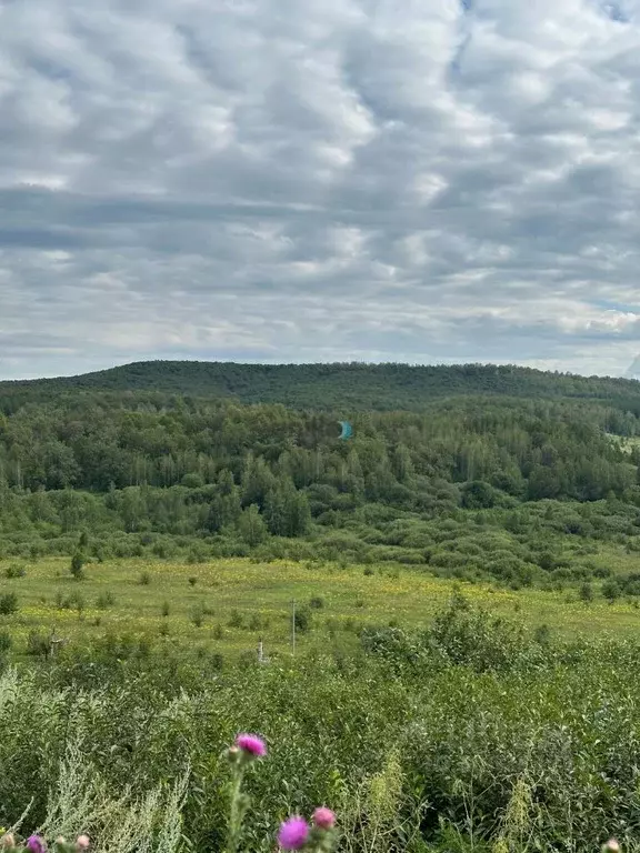 Участок в Башкортостан, Октябрьский пл. Имени Ленина (4.1 сот.) - Фото 0