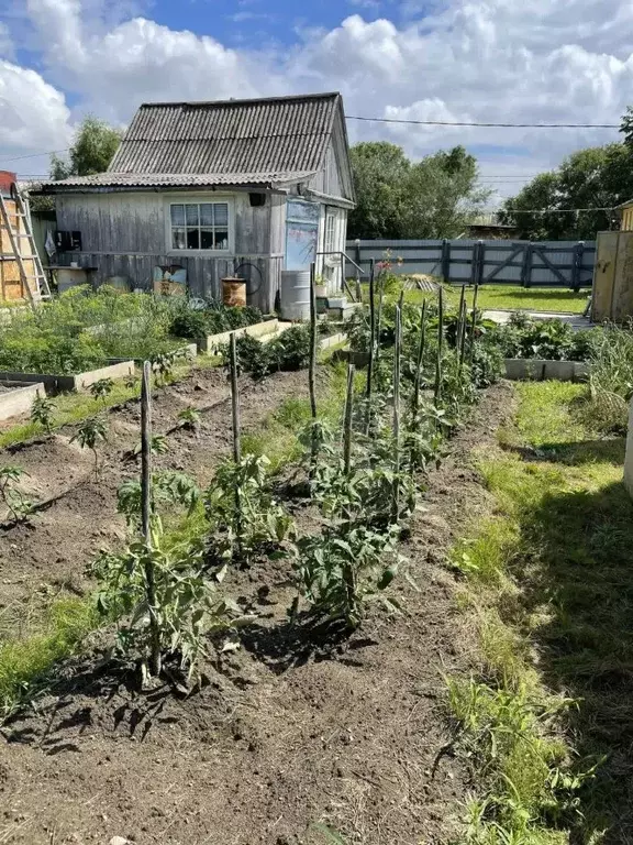 Дом в Еврейская автономная область, Смидовичский район, Владимировское ... - Фото 2