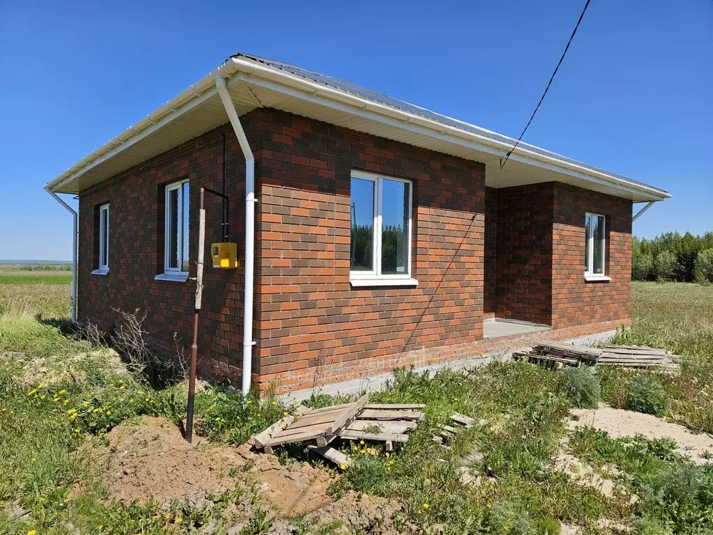 Дом в Татарстан, с. Тюлячи ул. 25-летия района, 6 (74 м) - Фото 1