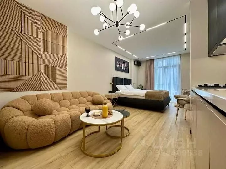 1-к кв. Краснодарский край, Сочи Курортный просп., 94к6 (34.0 м) - Фото 2