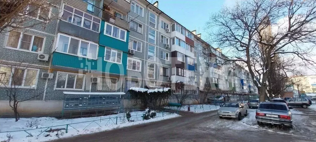 3-к кв. Краснодарский край, Кропоткин Кавказский район, Лесной пер., ... - Фото 2