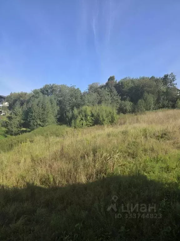 Участок в Московская область, Солнечногорск городской округ, Дачной ... - Фото 1