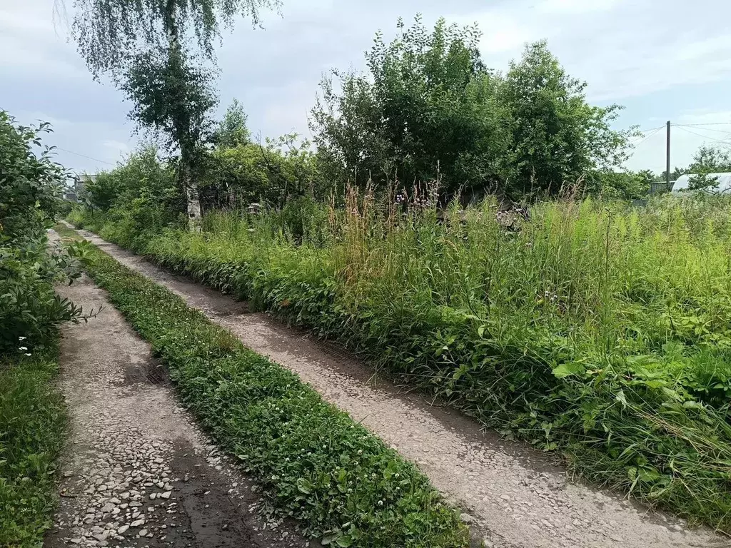 Участок в Ленинградская область, Волхов Восход 6 СТ, ул. Клубничная, ... - Фото 2