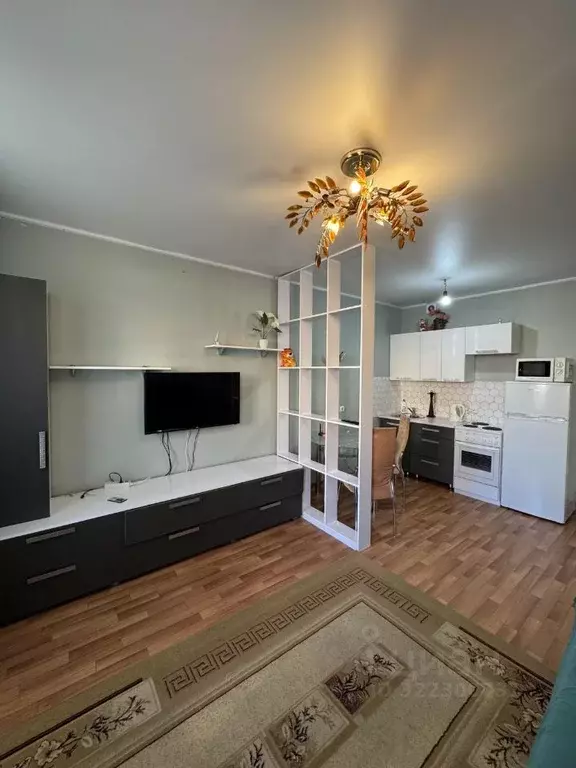 Студия Красноярский край, Красноярск Соколовская ул., 72А (27.0 м) - Фото 1