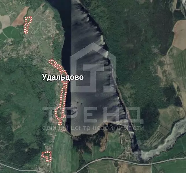 Участок в Ленинградская область, Приозерский район, Запорожское с/пос, ... - Фото 2