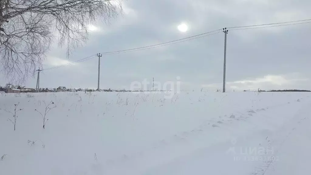 Участок в Кемеровская область, Кемеровский муниципальный округ, пос. ... - Фото 1