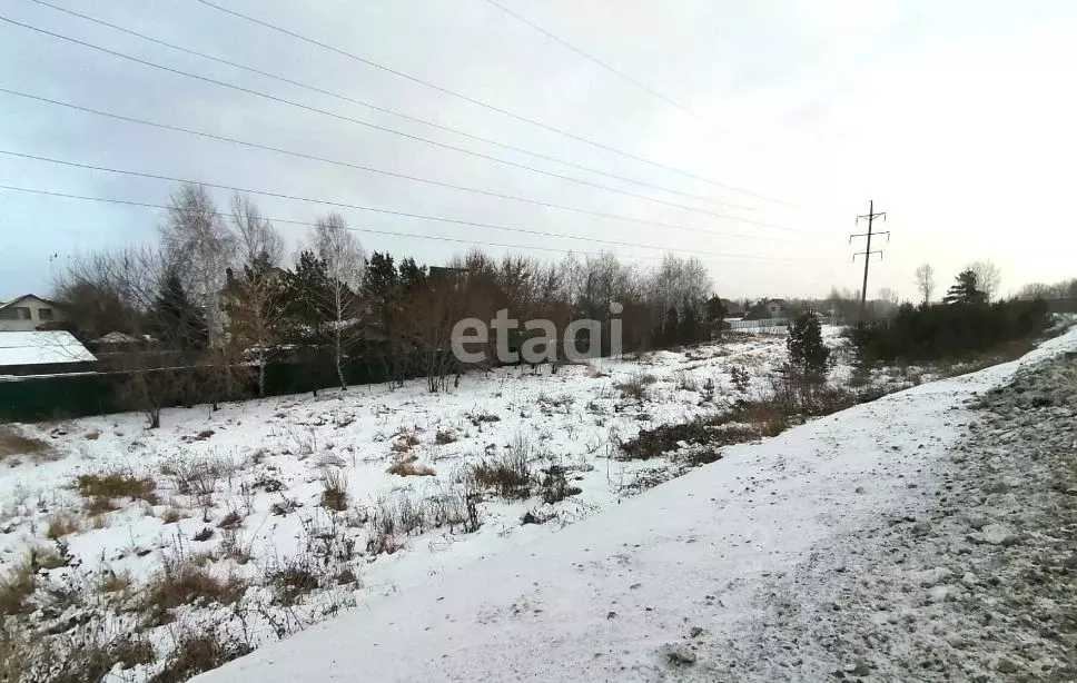 Участок в Новосибирская область, Новосибирский район, Кудряшовский ... - Фото 0