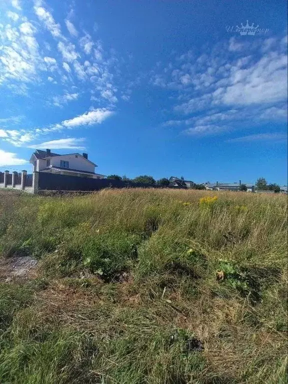 Участок в Нижегородская область, Богородский район, с. Каменки ул. ... - Фото 1