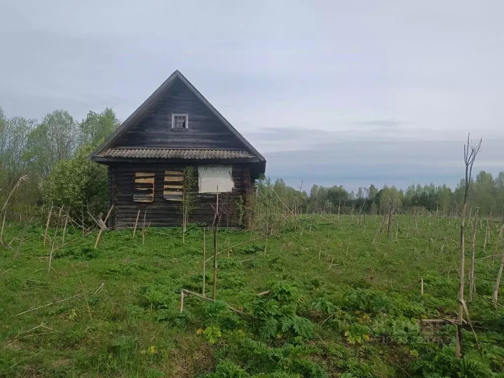 Участок в Новгородская область, Маловишерский район, Бургинское с/пос, ... - Фото 0