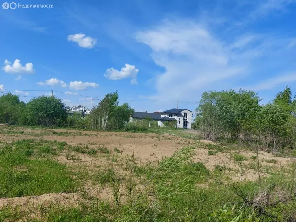 Участок в Мичуринское сельское поселение, село Виноградовка, квартал ... - Фото 0