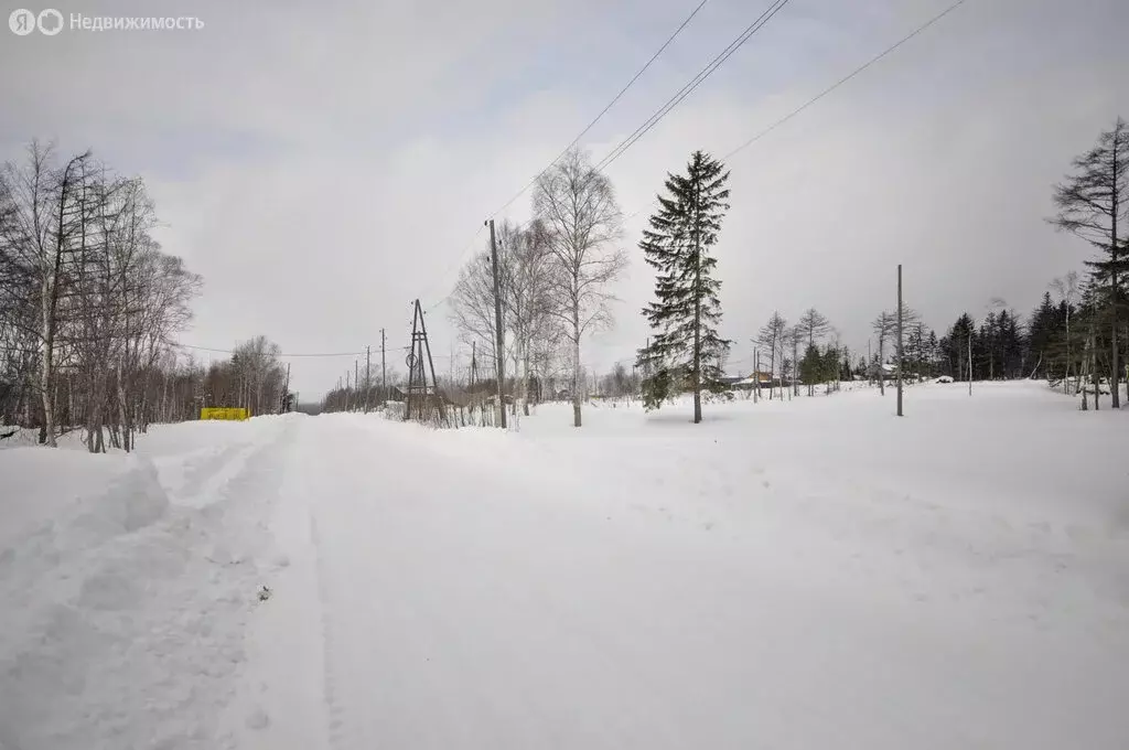 Участок в Сахалинская область, Долинск (970 м) - Фото 2