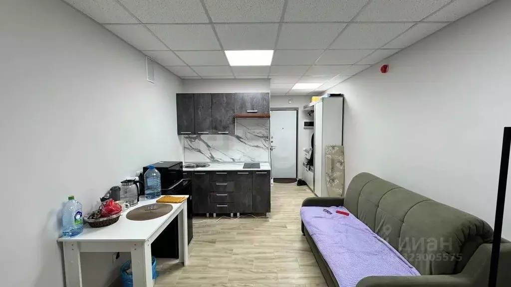 Студия Смоленская область, Смоленск проезд Маршала Конева, 32 (19.6 м) - Фото 1