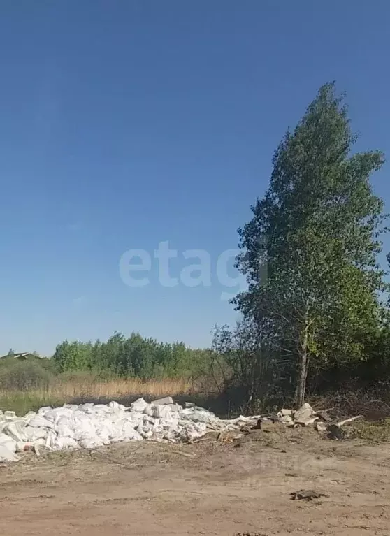 Участок в Тюменская область, Тюмень Малинка садовое товарищество, ул. ... - Фото 1