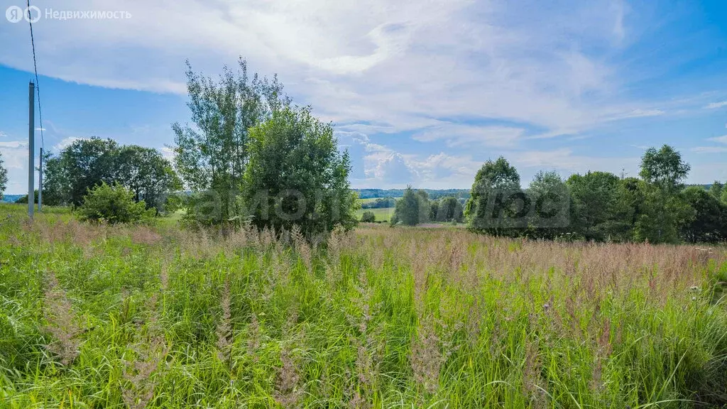 Участок в деревня Дуброво, 209 (15.99 м) - Фото 1