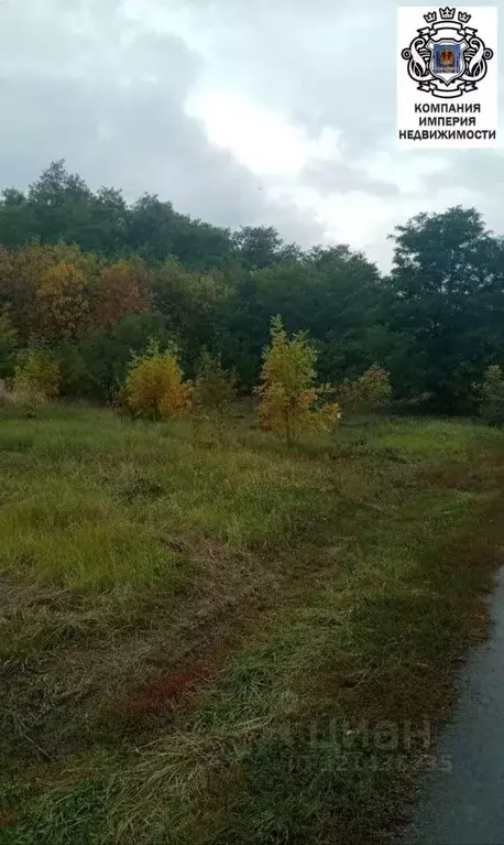 Участок в Белгородская область, Белгородский район, пос. Майский ул. ... - Фото 2