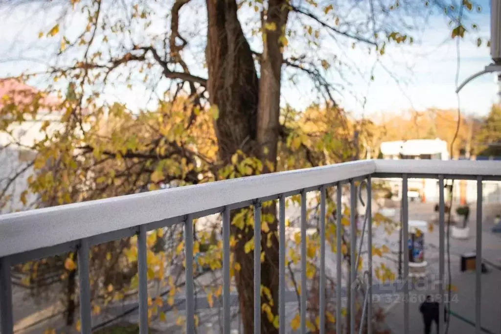 1-к кв. Краснодарский край, Анапа ул. Протапова, 104 (32.0 м) - Фото 2