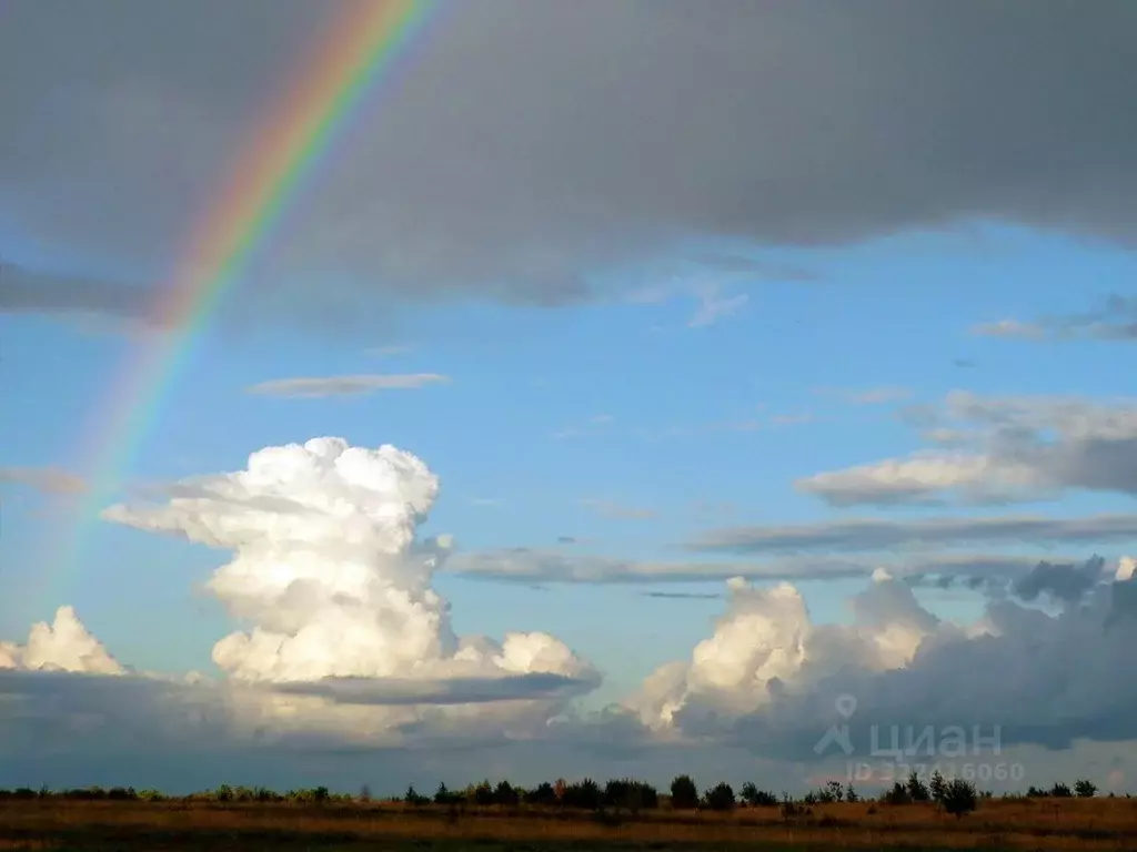 Участок в Московская область, Раменский муниципальный округ, с. ... - Фото 1