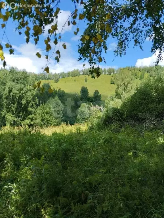 Участок в посёлок Усть-Сема, переулок Верх-Барангол (101.92 м) - Фото 1