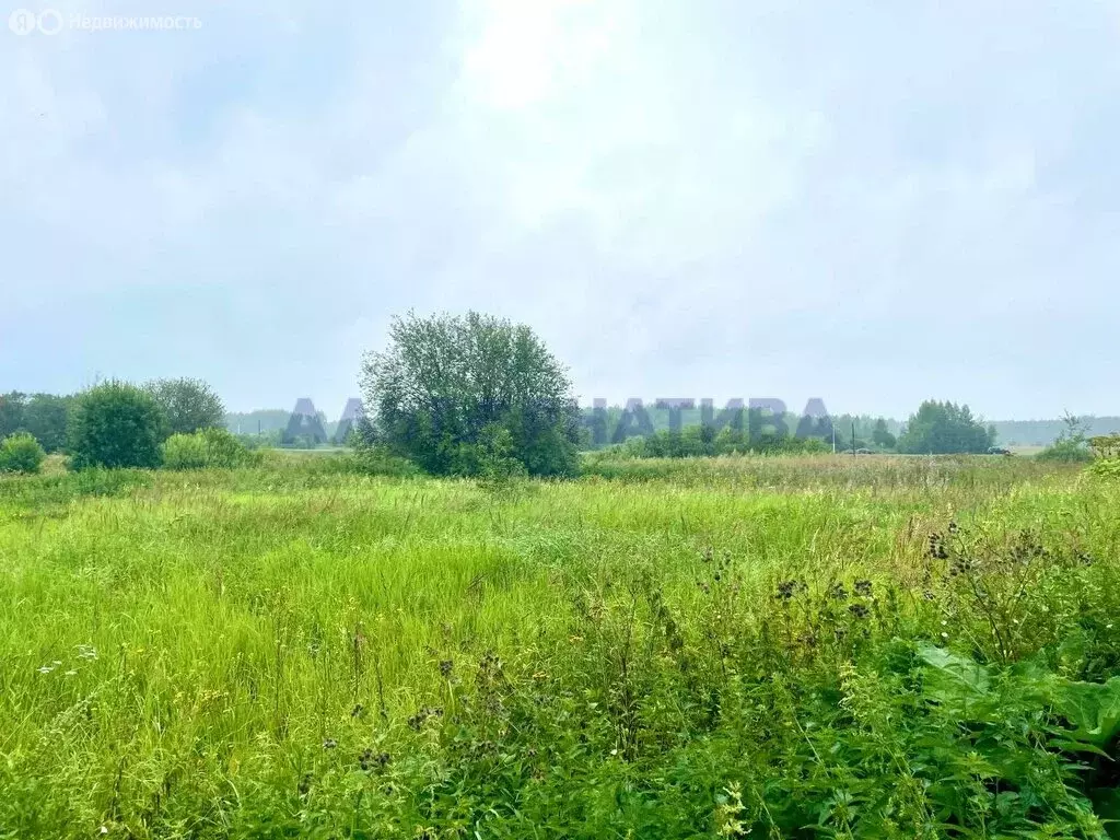 Участок в Ярославская область, Переславль-Залесский муниципальный ... - Фото 0