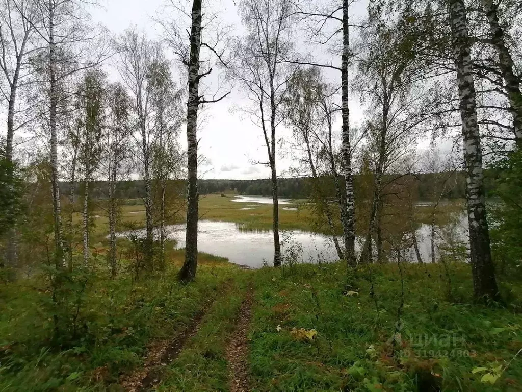 Участок в Новосибирская область, Искитимский район, с. Морозово ул. ... - Фото 1