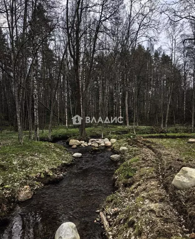 Участок в Ленинградская область, Всеволожский район, Куйвозовское ... - Фото 1